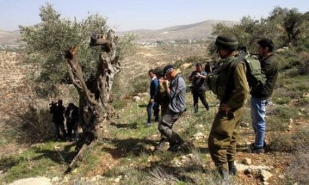 ردود فعل دولية واسعة تحذر حكومة الاحتلال من القيام بضم المستوطنات والأغوار الفلسطينية