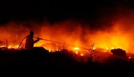 اندلاع حريق هائل باحراش زلفة وقوات الاطفاء تخمد النيران
